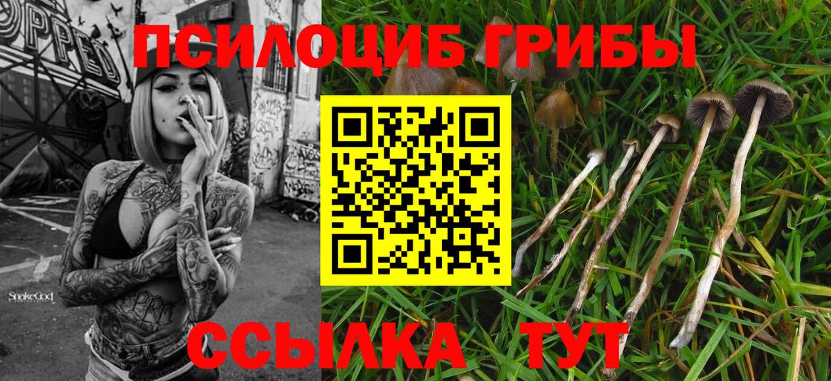 Галлюциногенные грибы GOLDEN TEACHER Киров